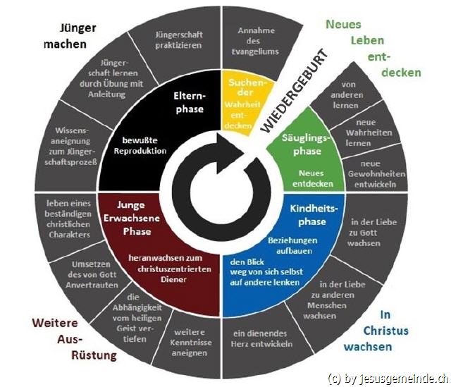J&uuml;ngerschaftsentwicklung